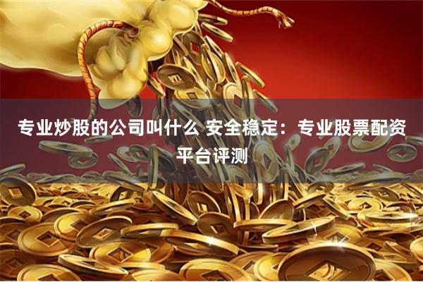 专业炒股的公司叫什么 安全稳定：专业股票配资平台评测